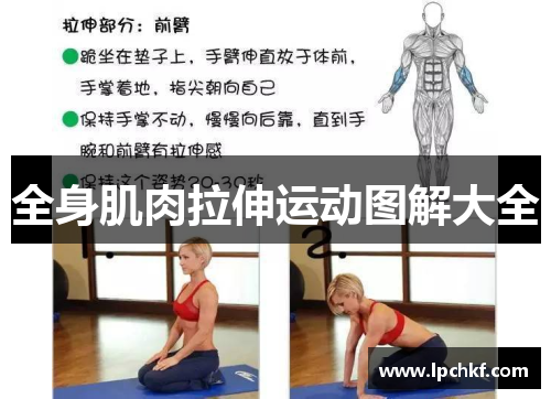 全身肌肉拉伸运动图解大全